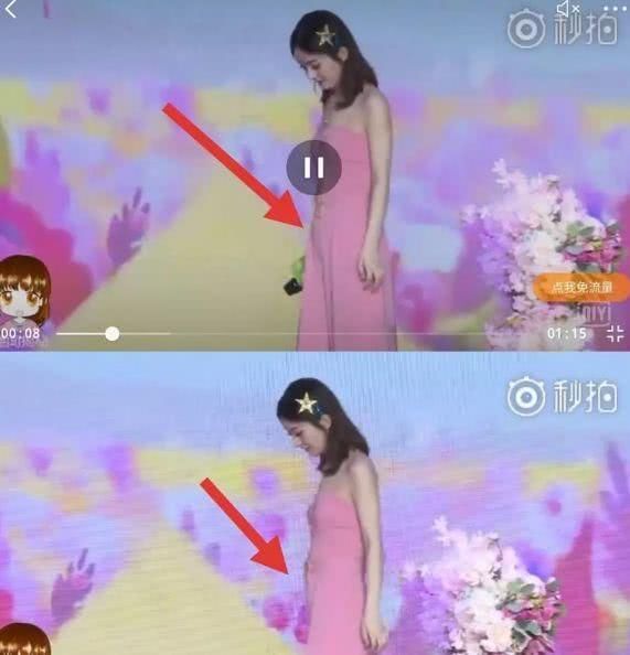 赵丽颖力破谣言？网友却拍到不一样的画面，爱犬还被寄养给朋友！