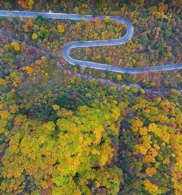 秦岭这条公路，秋天必驾，5处醉美之地值得看看