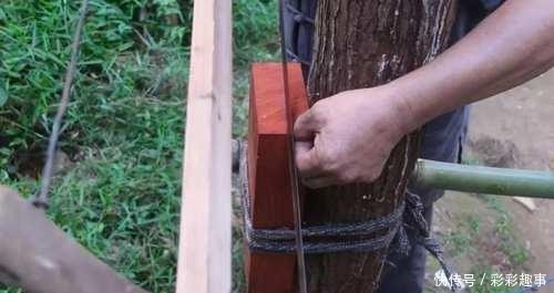  老外■中国大爷500万点赞，惊呆老外：这是什么Chinese功夫？