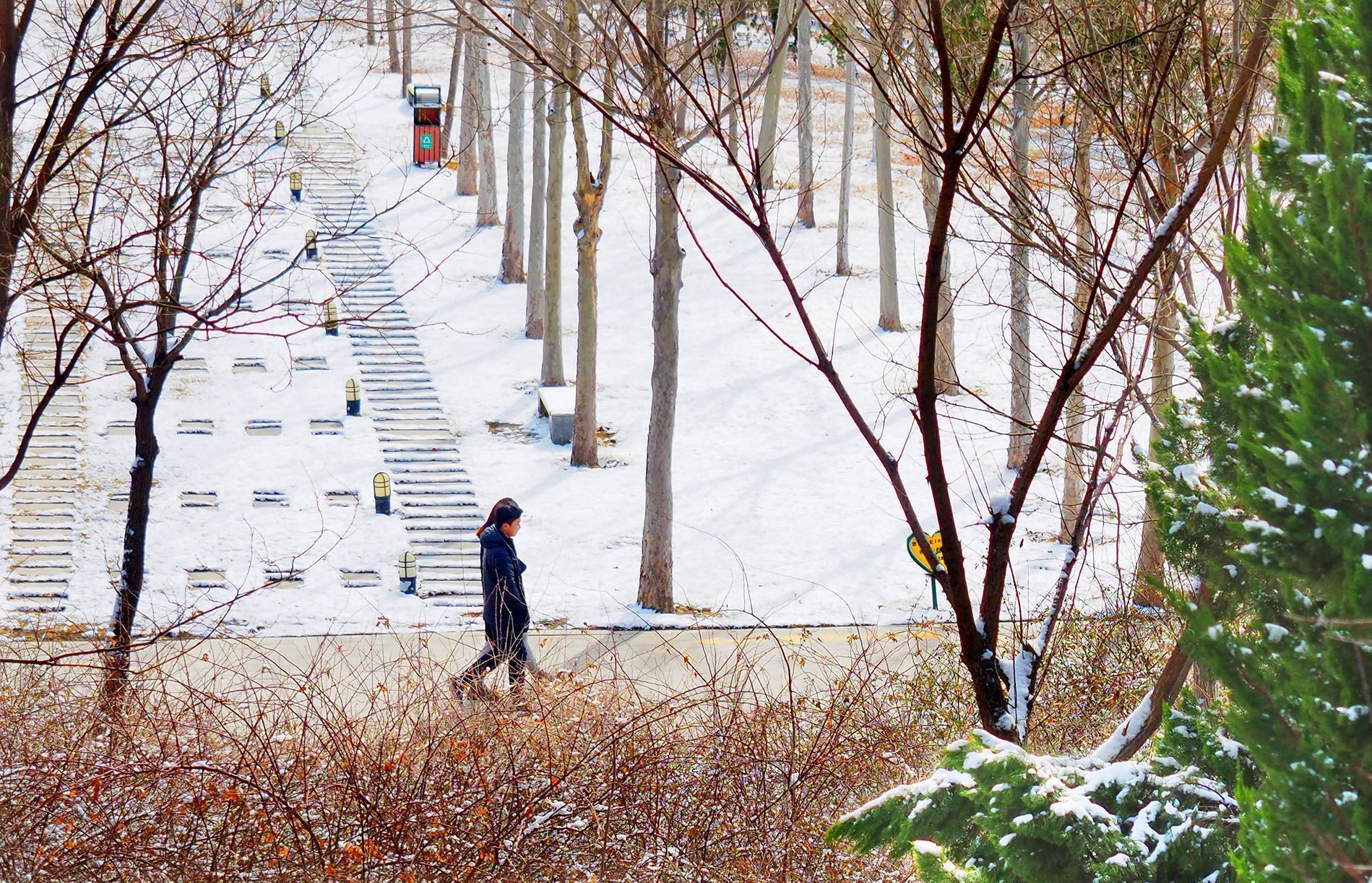  力量■战“疫”之城！力量之城！瑞雪里，大美德州