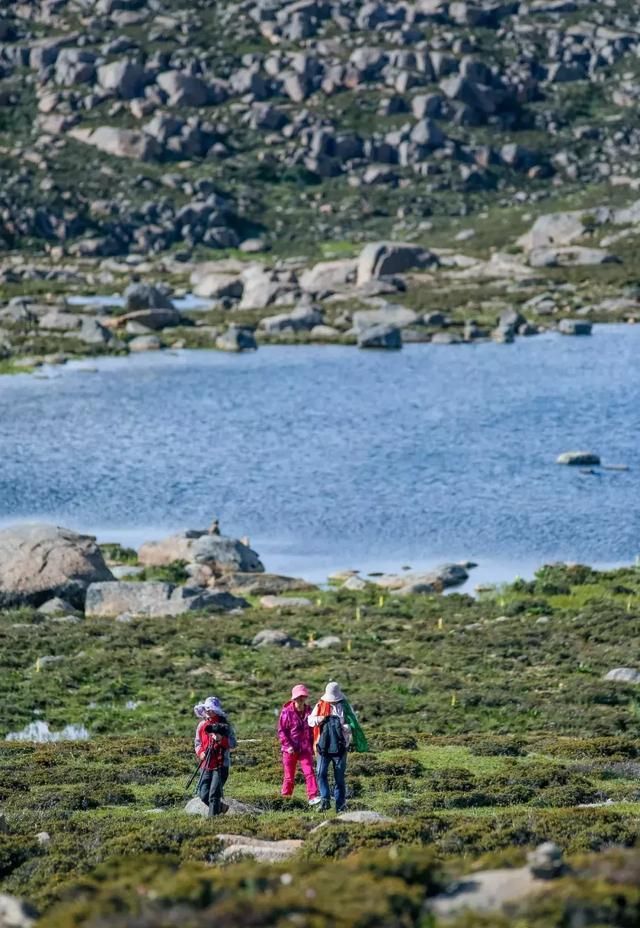 稻城亚丁，不是你梦想中的地方