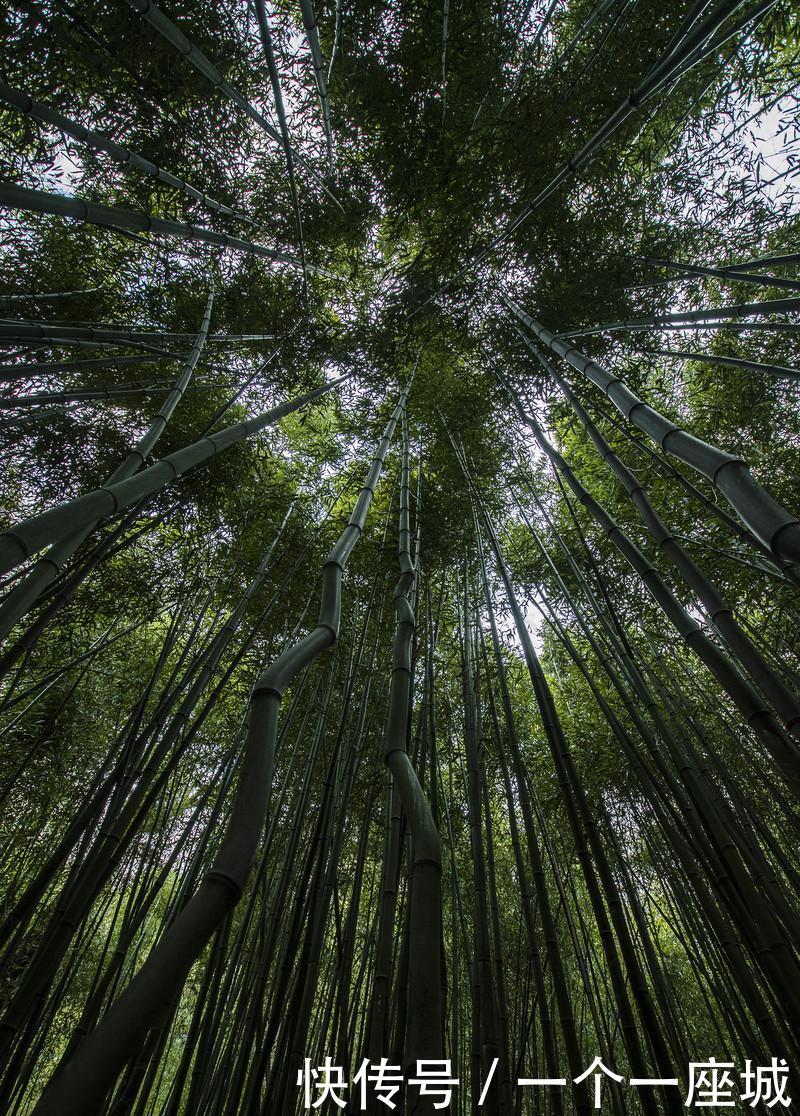 秦岭深处的这座小城，满足了我对秋天所有的幻想