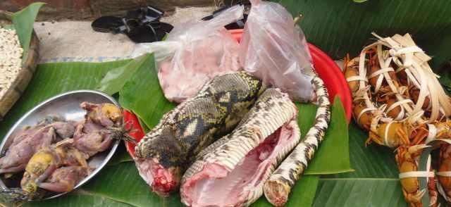 去了一趟老挝菜市场被吓到了，老挝人真的是什么都敢卖啊