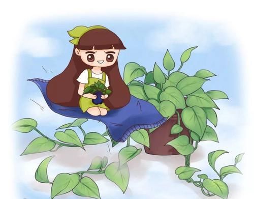  『干净的剪刀』家里有3种花还买啥，剪根枝条剁8段，沾土3天就发芽！
