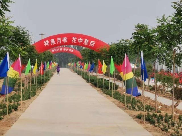  月季■月季为媒 虎头崖扶贫对接产业项目“异地开花”