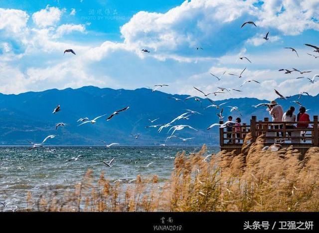 【空谷幽兰】烟雨花香又一春