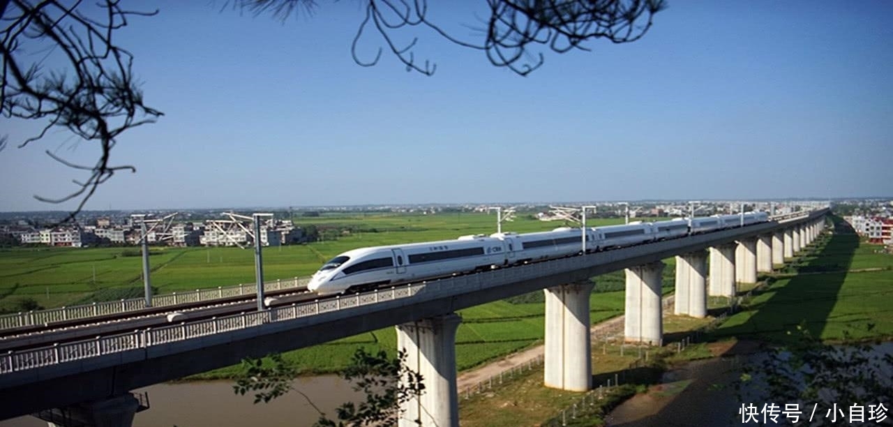  高铁：为何中国高铁平地不走, 非要花万亿造高架桥? 专家: 一切