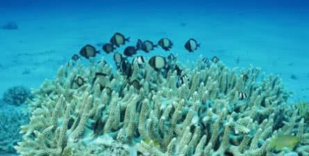 防晒霜有毒？世界上多地已禁止游客购买，商店也不许售卖