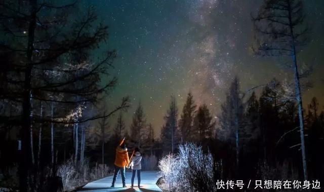 呼伦贝尔的秋天,美的太高级