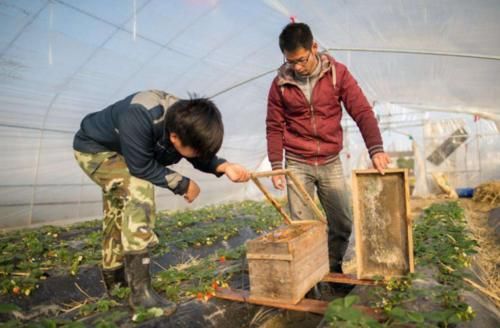  不想：农村大学生的处境：大城市难待下去，也不想回农村，迷茫