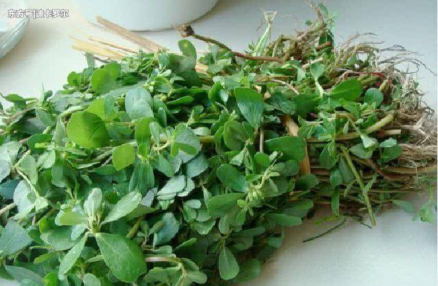 岁月是把杀猪刀，每晚这样用它，五天祛斑，皮肤娇嫩白皙似少女