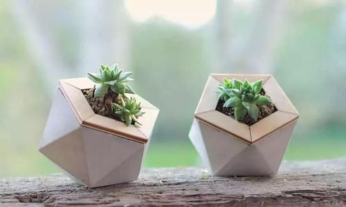 『内层涂抹』用硬纸皮制作精美的水泥几何花盆,用来种多肉植物太好看了