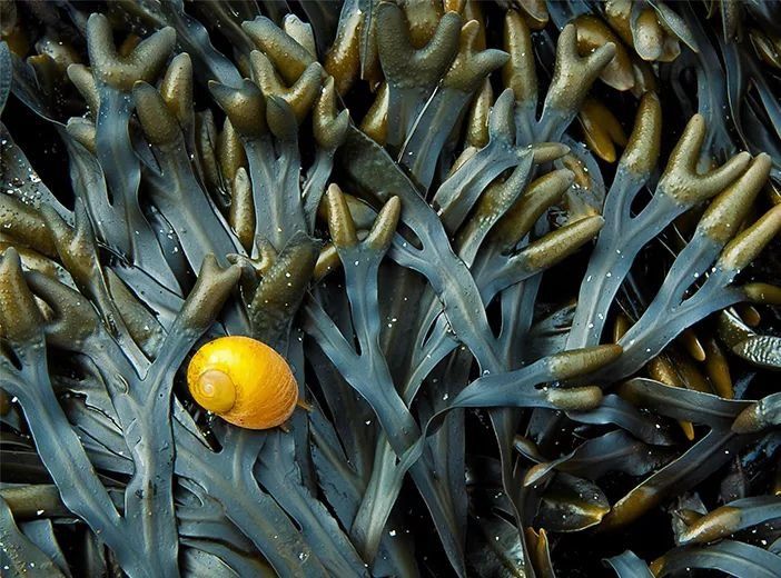 当身体乳喷遍全身，婴儿般的水润肌肤迅速封锁~