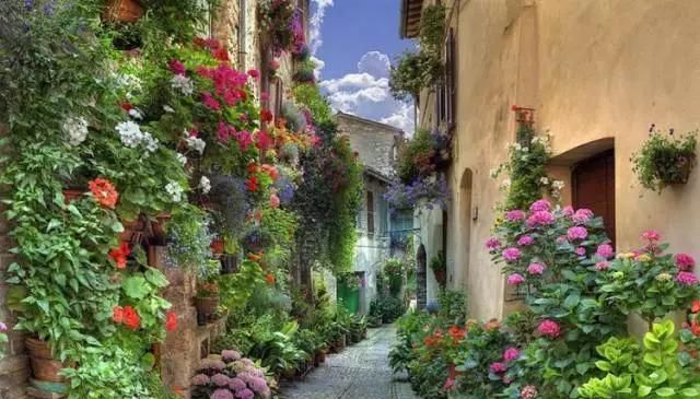 围观欧洲庭院,生活明朗,万物可爱