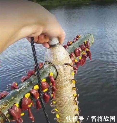 「收获」男子用矿泉水瓶做钓鱼神器,第二天收获喜人!