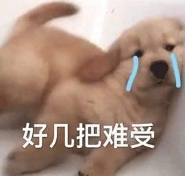  『高級』牛仔裤子落伍了!? 这20条牛仔裤子美丽更高級!