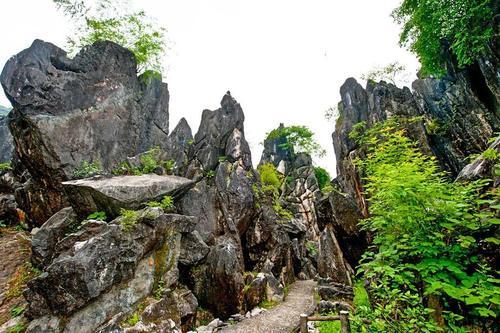 广西最壮观的石林，原生态的风景令人称奇，春节你想去看看吗？