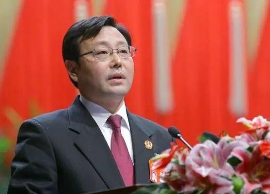 武汉市中级人民法院党组书记、院长王晨接受纪