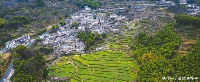 樱花:江南的美当然不分四季,可我却钟爱江南的春天,爱她的恬淡隽永