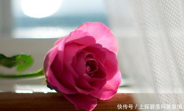  「心痛」有一种深爱，叫不能相伴一生，思念到心痛