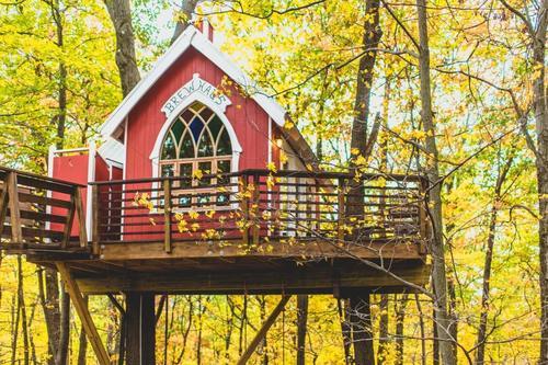 要体会一下住树上的感觉吗？世界8家最佳树屋酒店