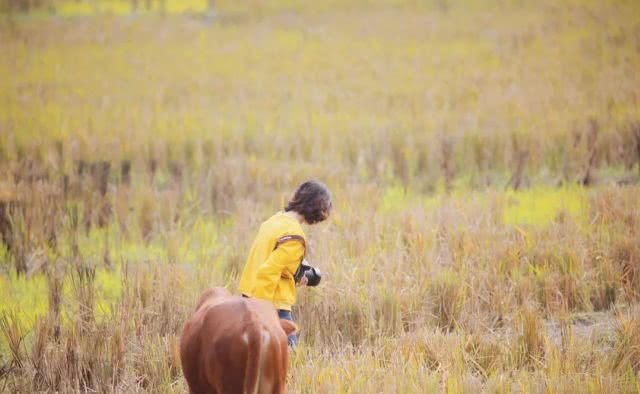 在湘西的田野里，觅一处舒心之地