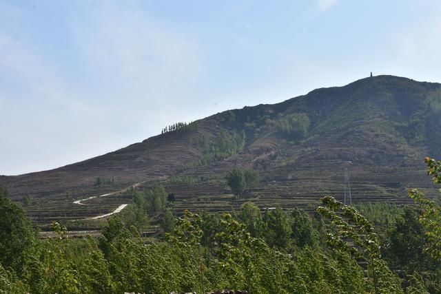  流峪镇：山水流峪 金银花乡 处处美景 遍地风光——平邑县流峪镇九道峪村
