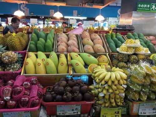 和萌宝的幸福三亚之行