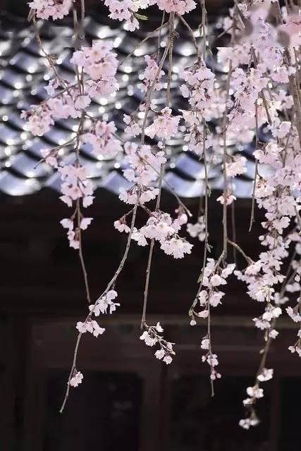  心灵后花园|他是中国历史上最文艺的皇帝，字画双绝，连造的园林都美传千古