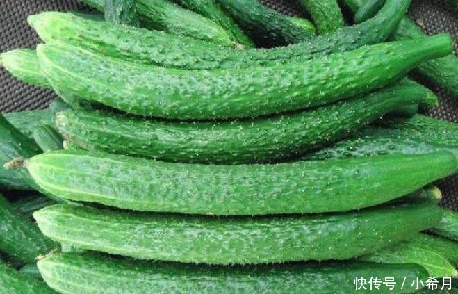 『说漏嘴』买黄瓜挑直的还是弯的?菜农不小心说漏嘴:这样的黄瓜买不得!