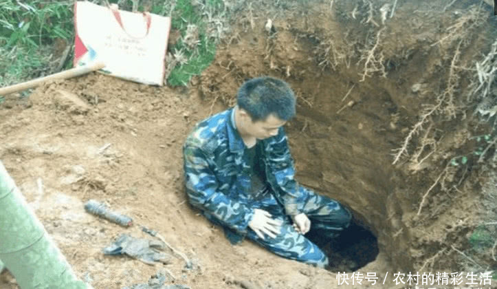 农村老汉地里挖到七条金蛇,专家称可以在上海