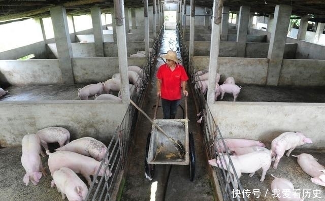  养殖户■未来五年的养殖发展方向