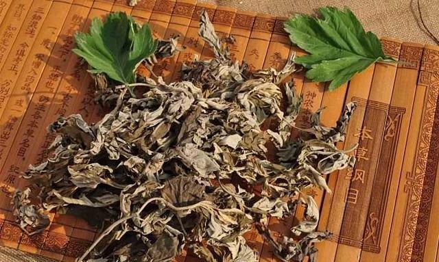 农村路旁的植物，农民常用它做糕点，殊不知它药用价值很高！