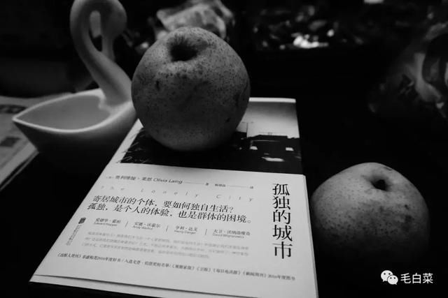 李虹辉：室内观察