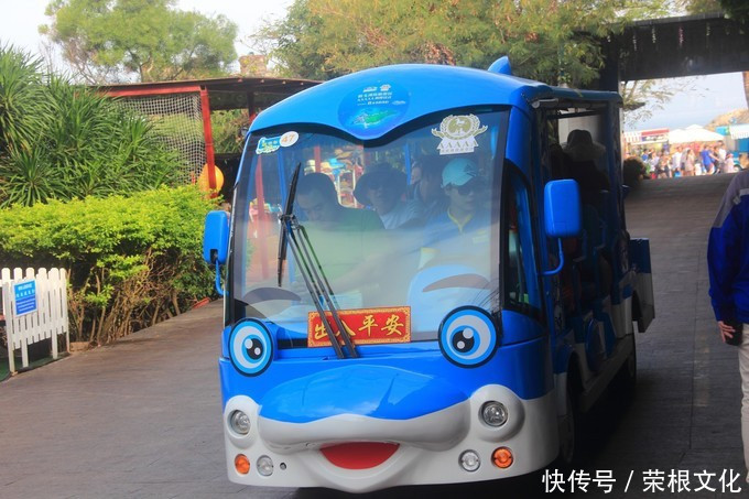 因大海到三亚，爱上大海