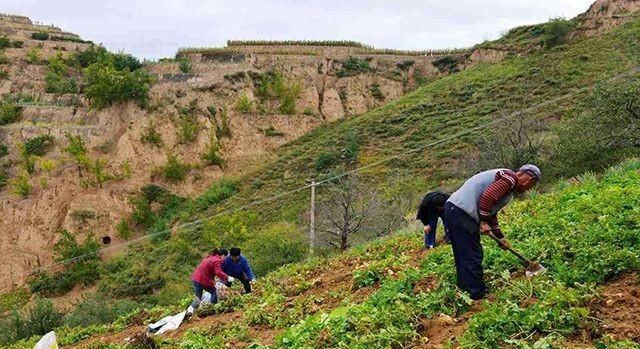再过5年城里买房买车的农村人就会懊悔，因为3样才保值