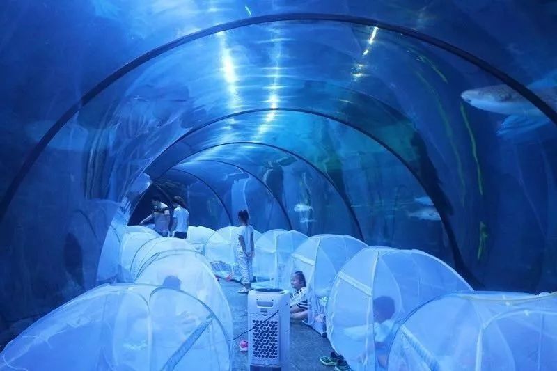 这条消息刷屏萧山人朋友圈!有人疯狂转发，只是为了……原因令人