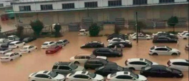 浙江的一场台风暴雨，彻底揭开了二手车市场的遮羞布！