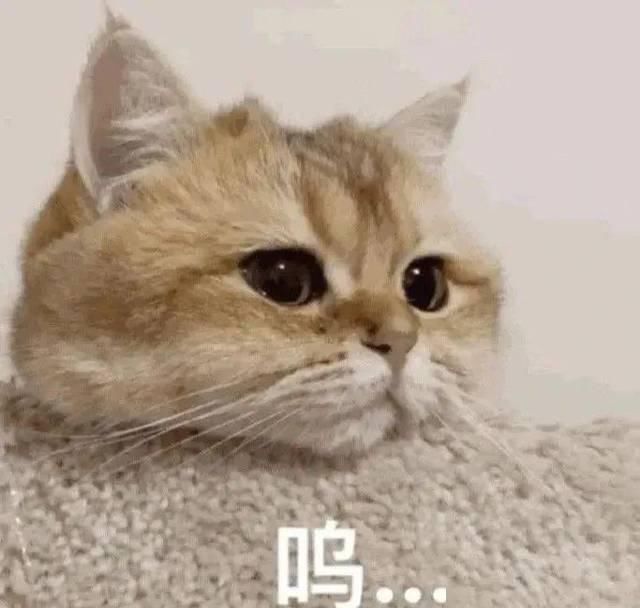  『春天』西装+T恤=巨时髦巨显瘦，让你A爆整个春天！