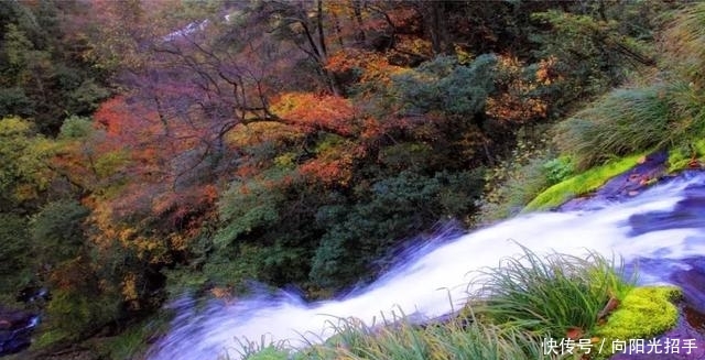 中秋小长假安康大巴山醉美自驾环线出炉,美食美景享不停