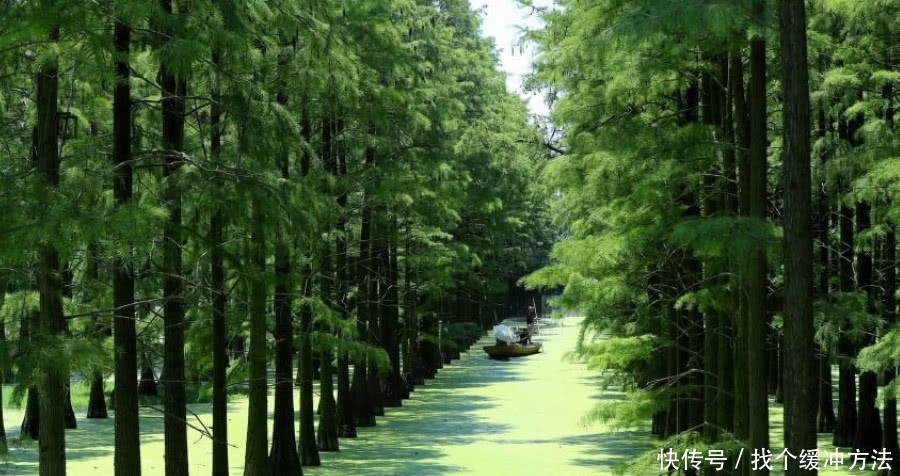 武汉第二大区，面积是武昌的14倍，简直就是“富可敌市”！