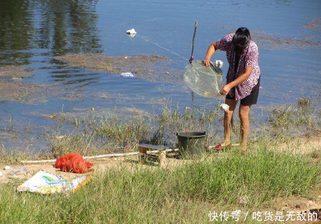  幼虫：农村河中捕到这种鱼，一定记着再放回水中