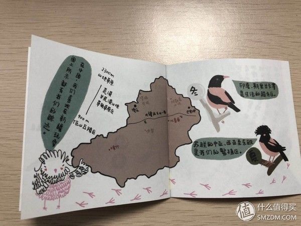 NONOO粉红椋鸟限量水杯 开箱晒单~~