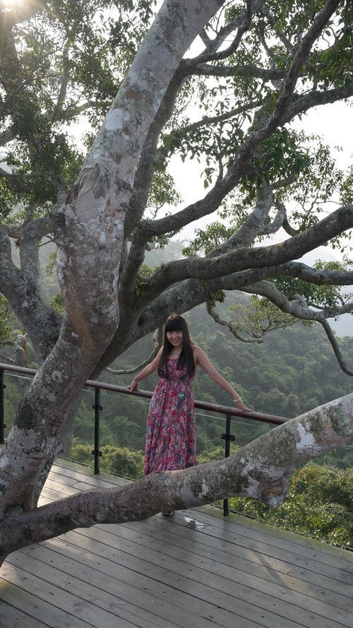 飘散在碧海蓝天里的梦，我的三亚自由行