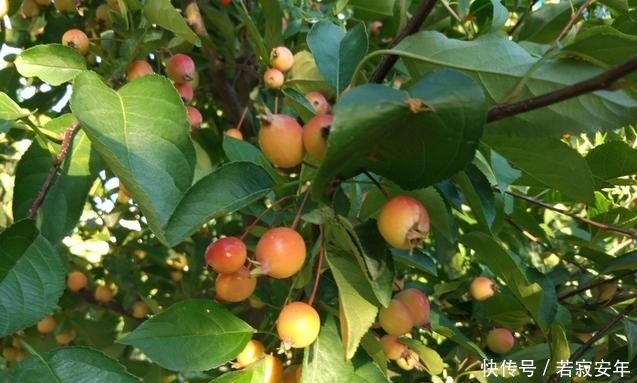 为啥现在农村老农见城里人下乡就窝火，秋游的城里人注意啦