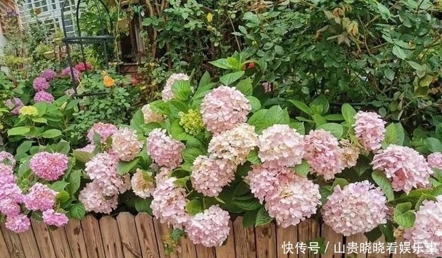  「平方」有了30平方的小院，能将日子过成了诗？简单而精致，优雅而从容！