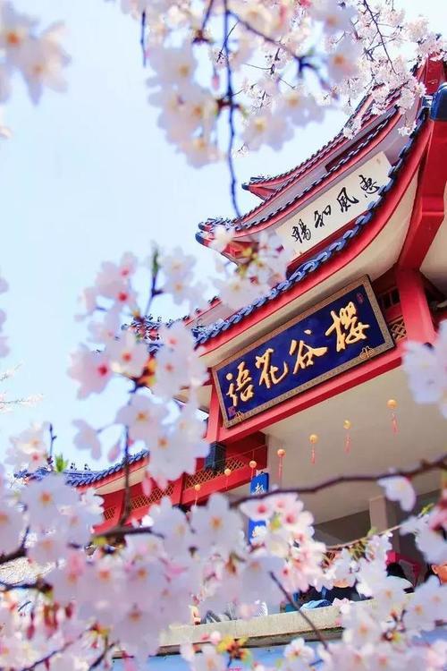 再过一个月，这些地方就美成仙境了！