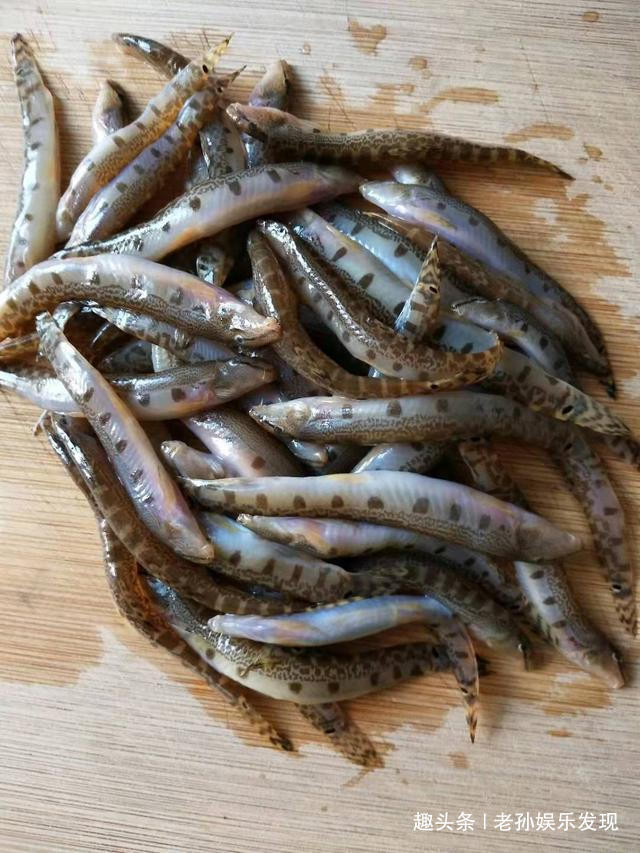  农村@它还有它，别说城里人很少见过，就是农村的年轻人也未必认