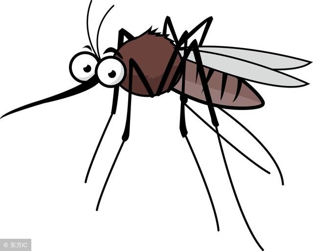蚊子叮咬非小事，这些防蚊谣言不要信
