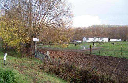  「真实生活」走进美国农村：看农民真实生活是怎样的！看完就知